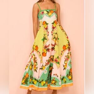 Caroline Constas Fruit Print Fit & Flare Midi Sundress Lemon Gingham Sz S NWT